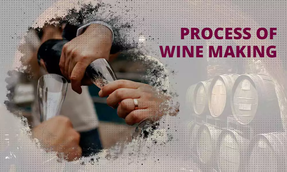 Process of Winemaking