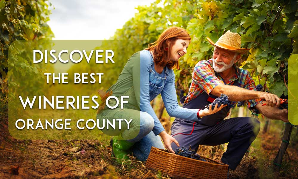 Discover the best wineries in Orange County