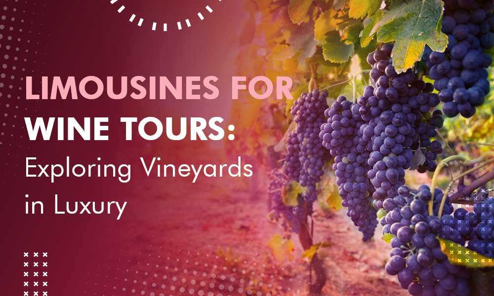Limousines for Wine Tours: Exploring Vineyards in Luxury