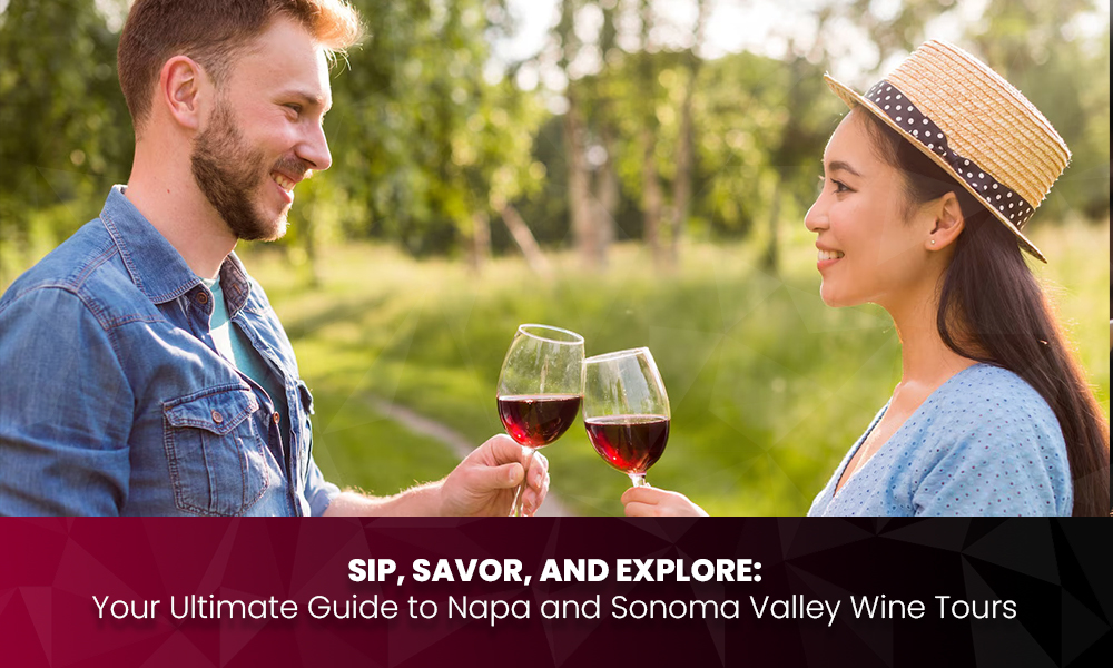 Sip, Savor, and Explore: Your Ultimate Guide to Napa and Sonoma Valley Wine Tours