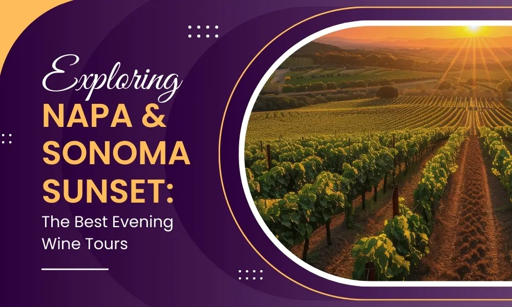 Exploring Napa & Sonoma at Sunset: The Best Evening Wine Tours